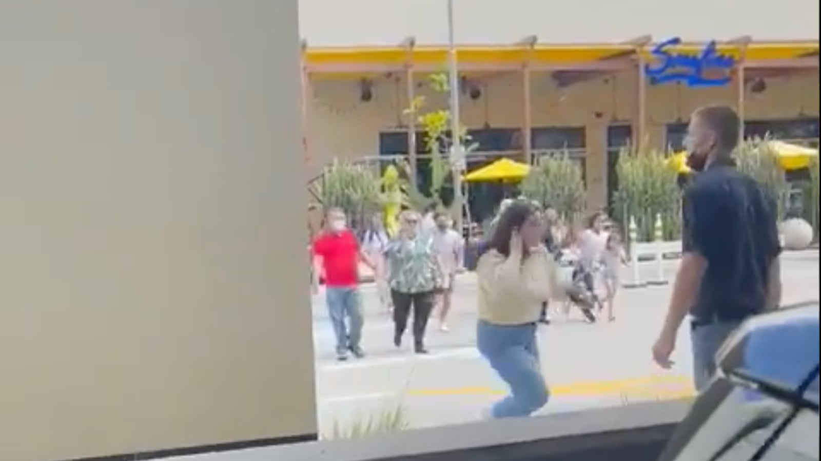 Screen_Shot_2021-05-08_at_5.17.43_PM_wyrydh