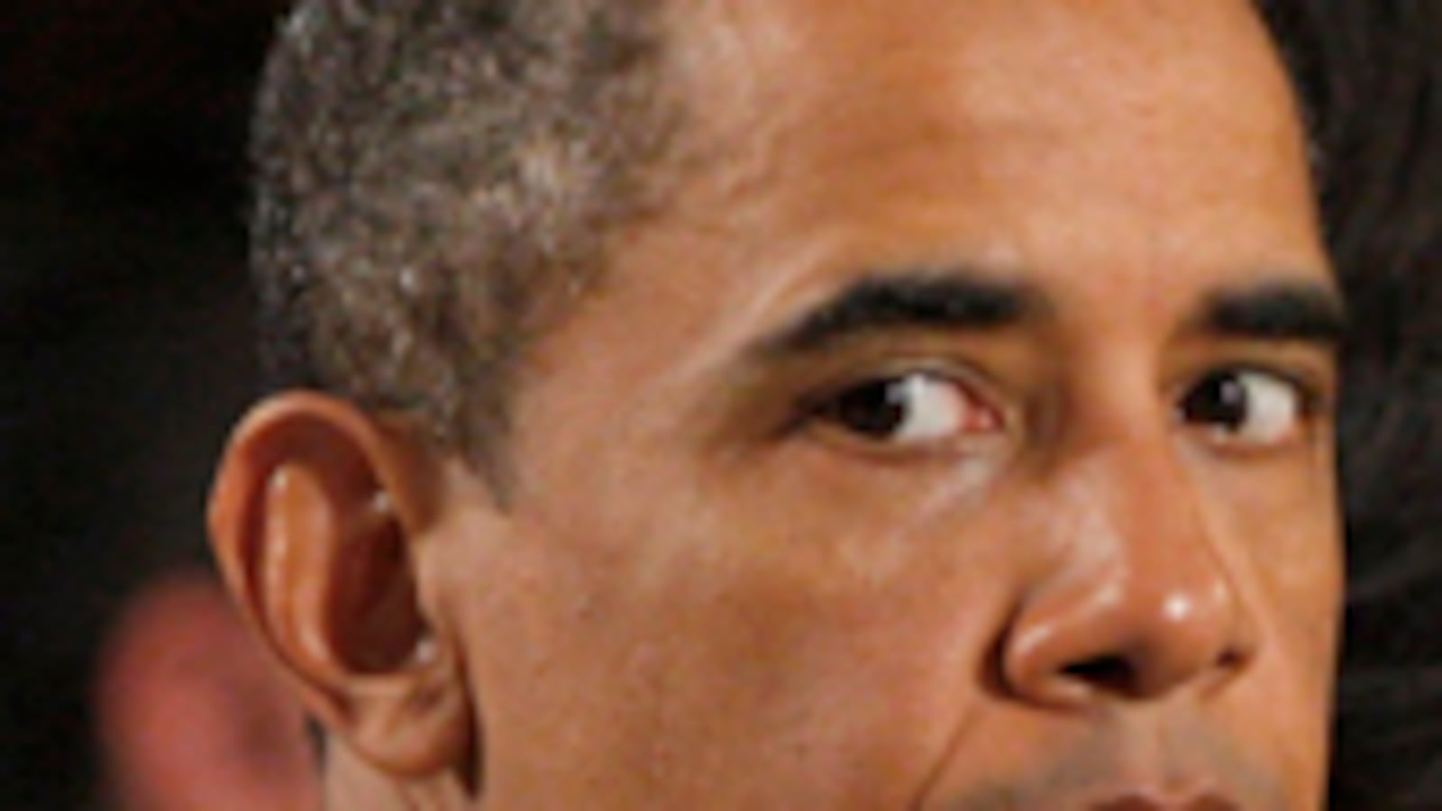 cheats/2009/11/29/obama-keeps-mum-on-military-secrets/kazin-wrap-historians-barack-obama_60249_h9k9gd