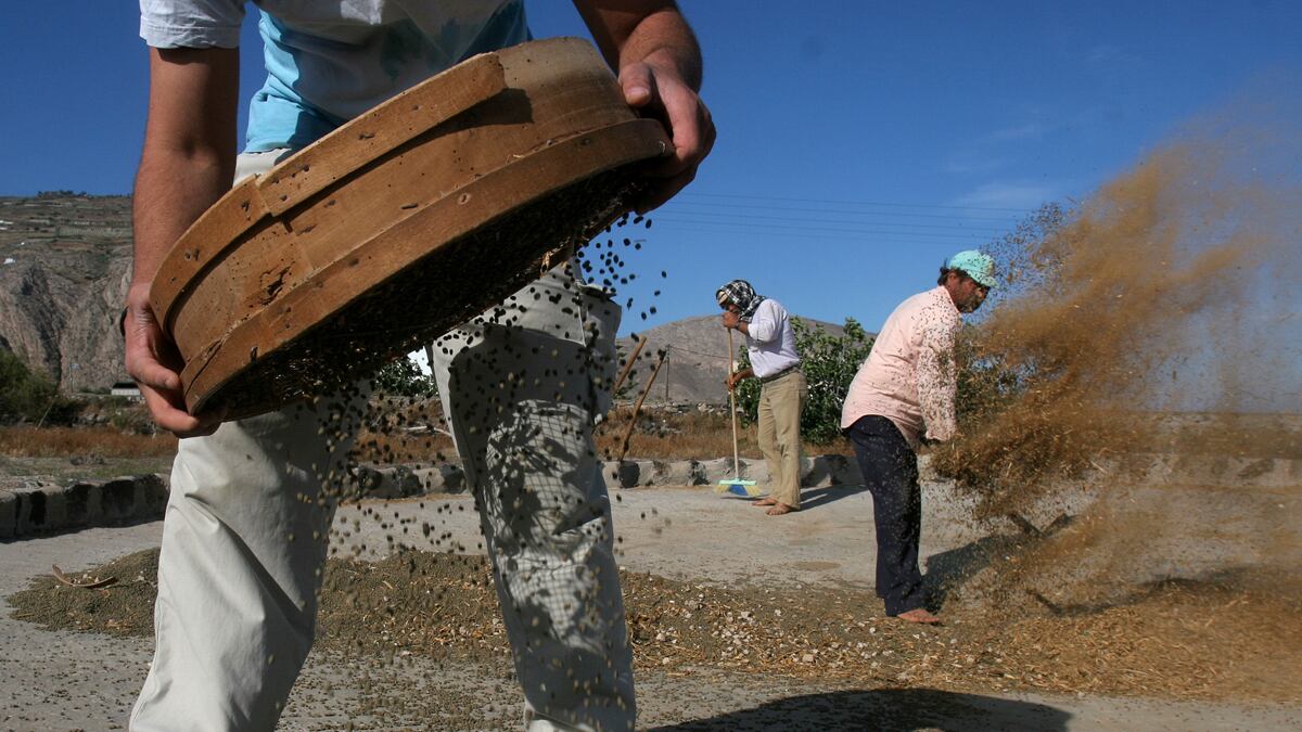 cheats/2012/01/09/greeks-go-back-to-the-land/greeks-run-to-hills-farming-debt-crises-cs_akvxh8