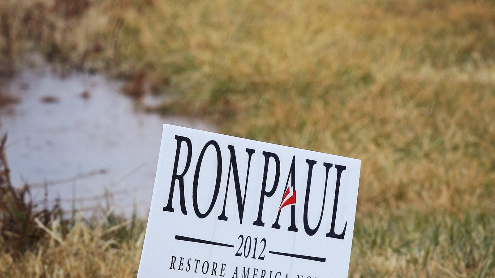 articles/2012/01/10/do-the-ron-paul-lawn-signs-matter/ron-paul-yard-sign_xhtllf
