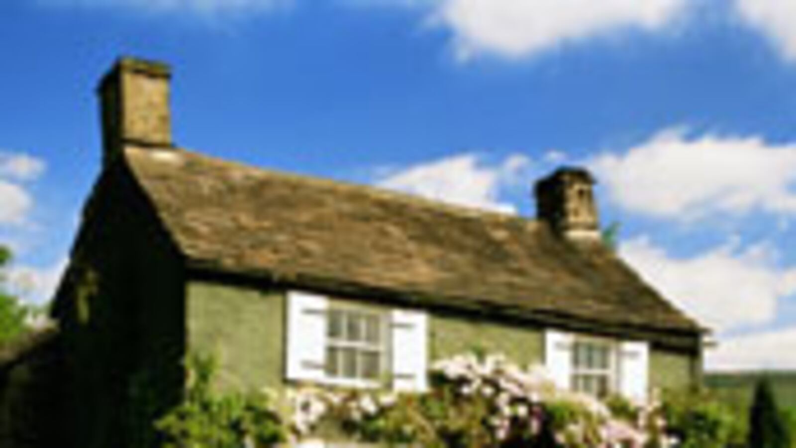 articles/2010/05/12/my-real-estate-obsession/bernstein-meghan-daum_99981_sx3cpn