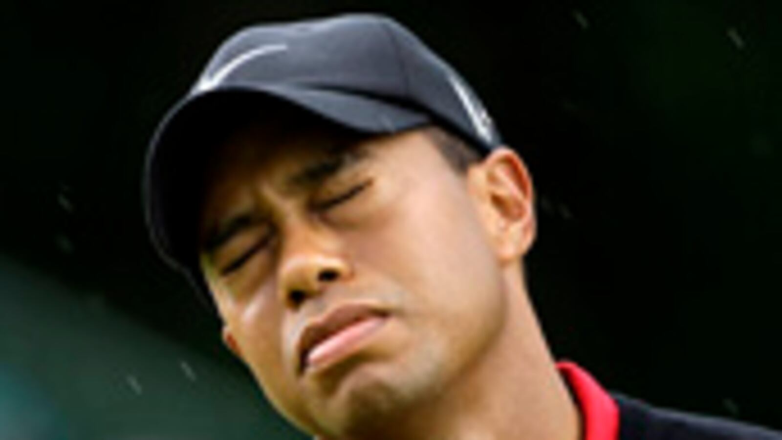 articles/2009/12/16/the-tiger-binge/brown-tiger-brown-mania_69810_pxtocb