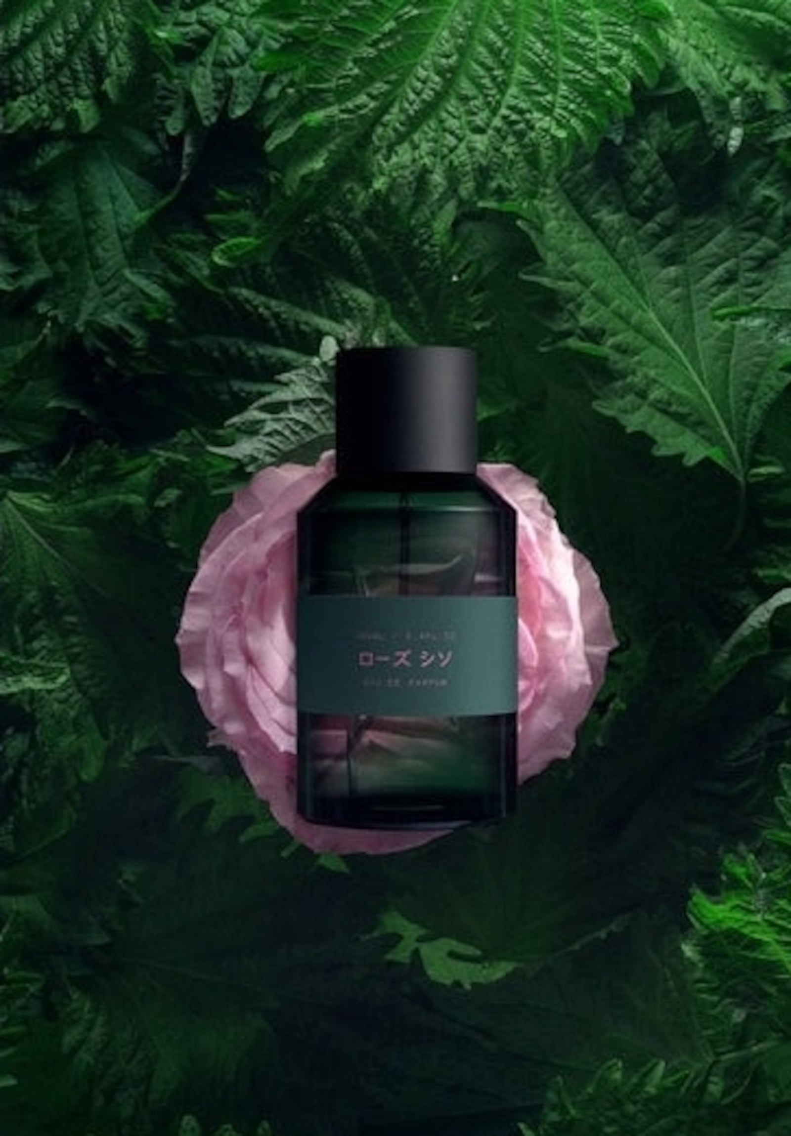 Marie Jeanne Rose Shiso