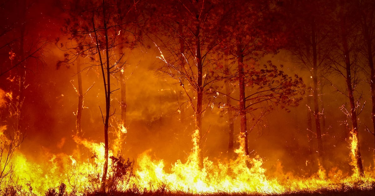 World-Famous Wineries Menaced by ‘Zombie' Fire Crisis