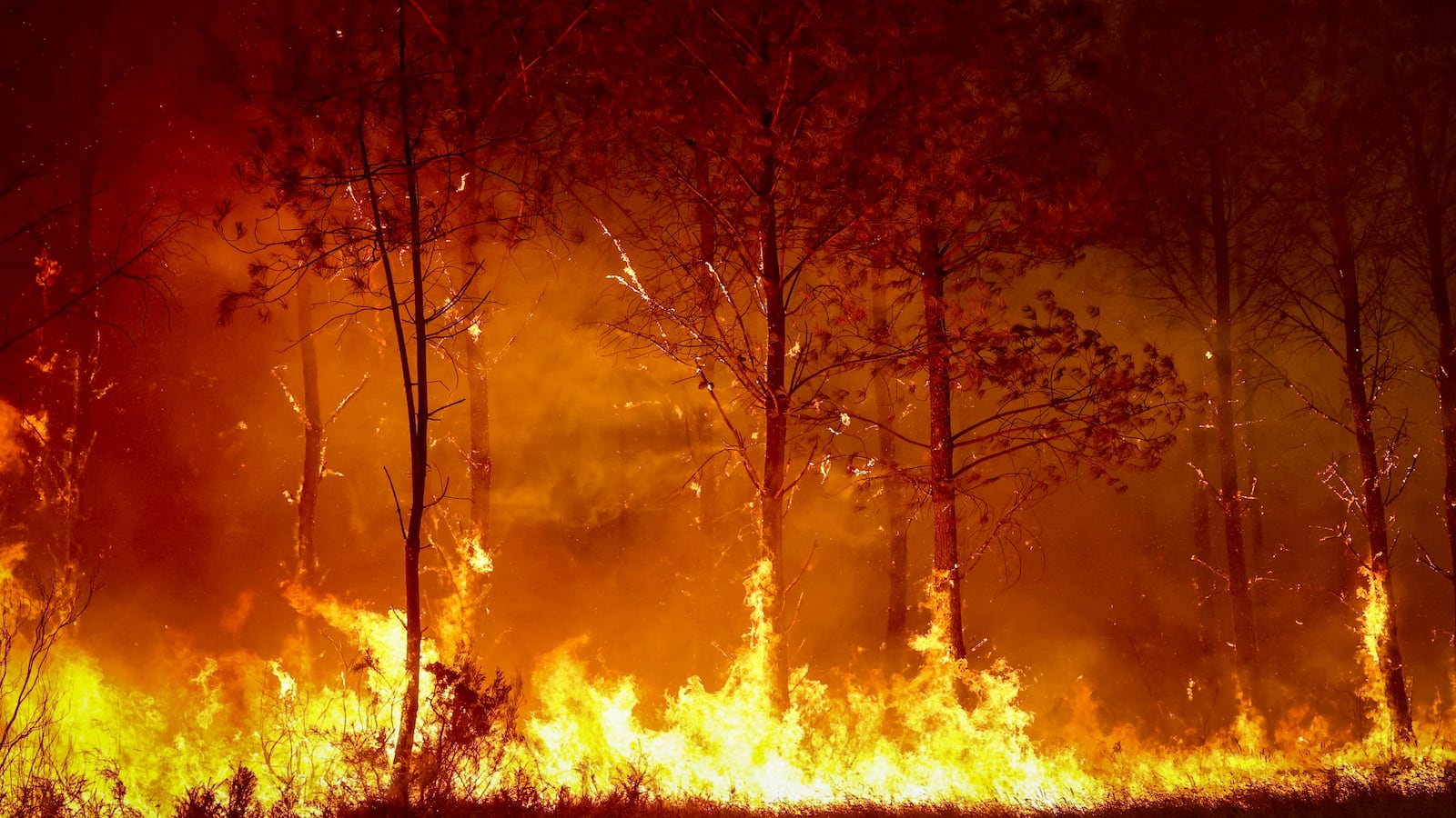 A forest fire rages in Saint-Jean-d'Illac, some 30km from Bordeaux, on July 26, 2026 as a wildfire has been ravaging the forest north of the Arcachon Basin (Gironde). The 220,000 people evacuated due to the massive wildfire in France's Gironde region will not be able to return home "until the fire has been brought under control", the local prefect said, also ruling out any normal workday on Monday in the affected towns, ahead of a possible worsening of the situation on Tuesday due to an expected rise in temperatures. (Photo by ROMAIN PERROCHEAU / AFP via Getty Images)