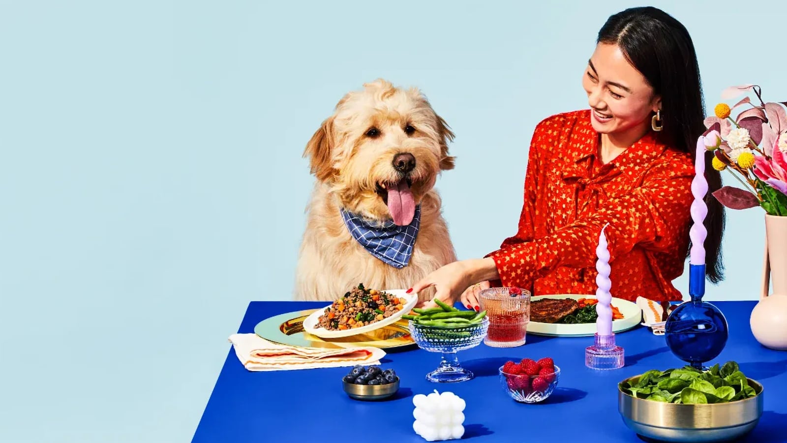 The Pets Table by HelloFresh
