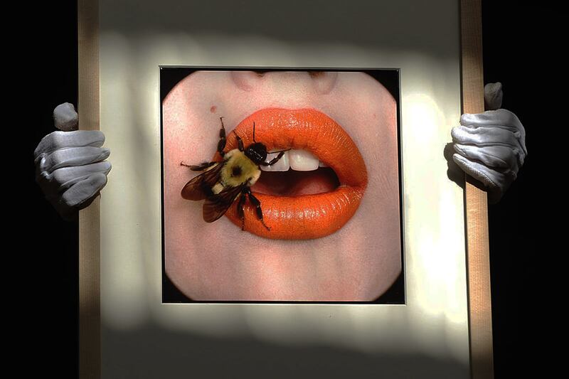 articles/2016/08/19/fashion-photography-s-hottest-shots/160818-Santandrea-Fashion-photographers-tease_ghxgzv