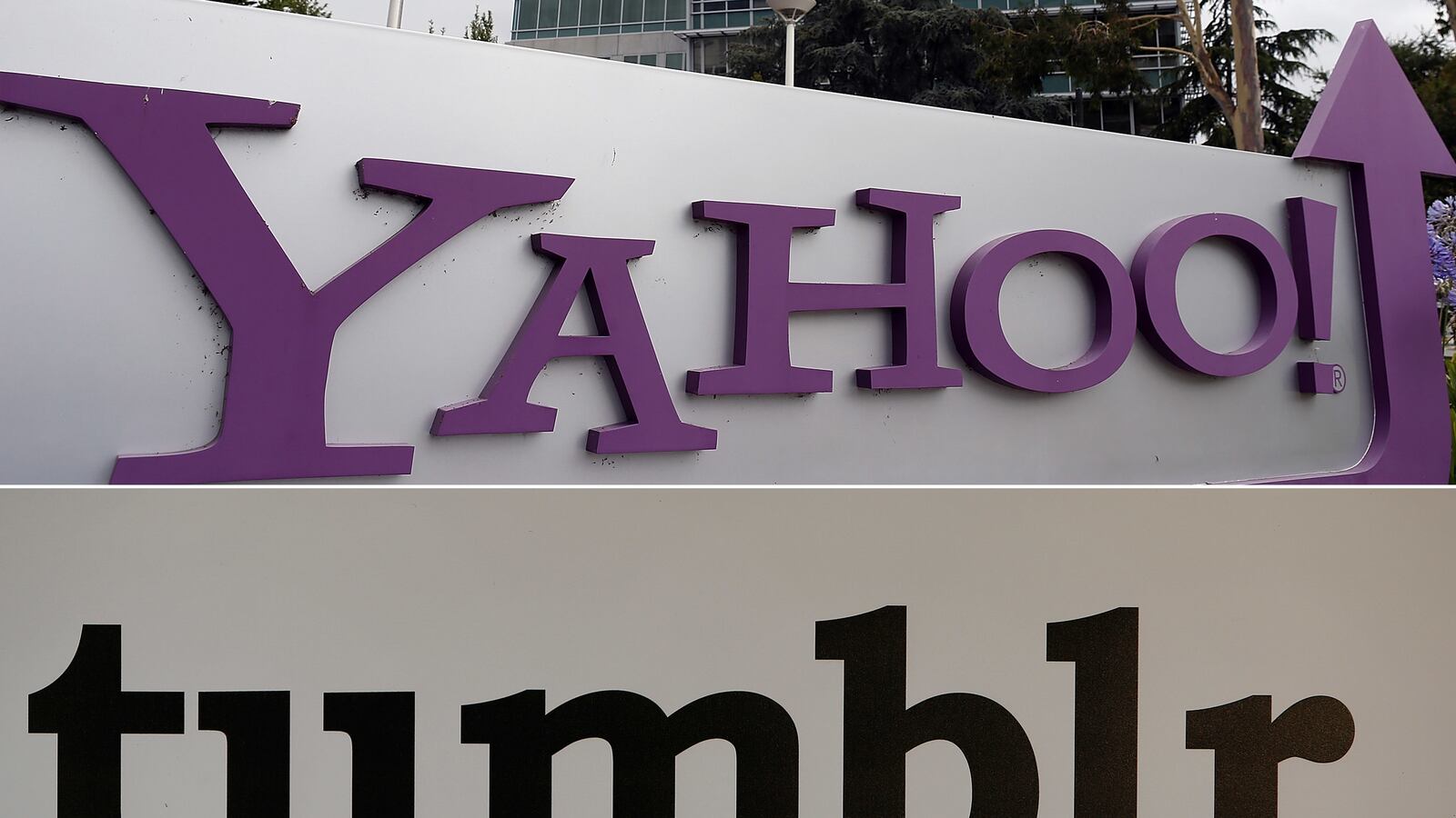 cheats/2013/05/18/yahoo-to-buy-tumblr/130518-yahoo-tumblr-mayer-cheat_grozkr