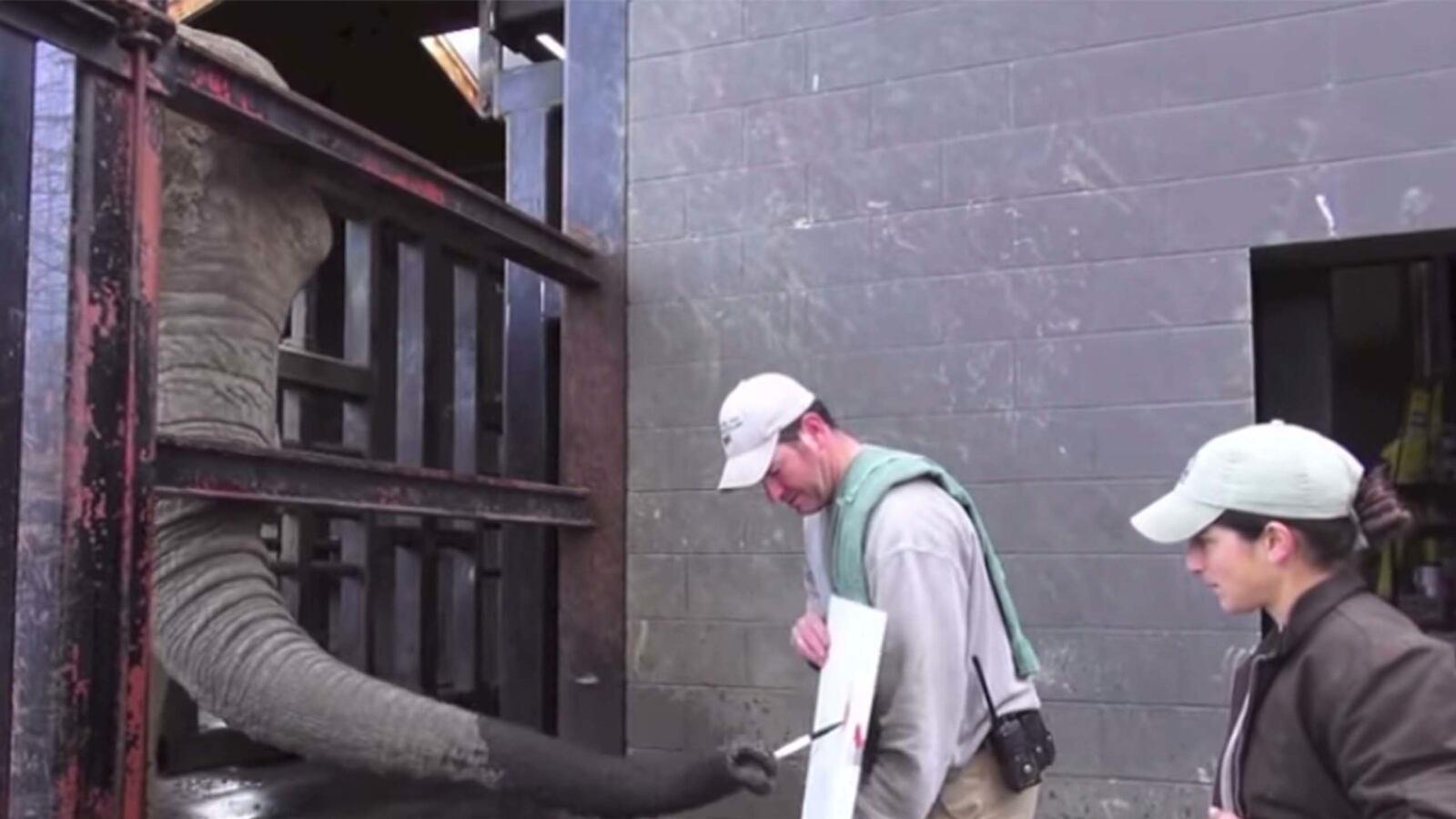 cheats/2015/09/10/oakland-zoo-sells-animals-paintings/150910-oakland-zoo-paintings-cheat_bnmrxb