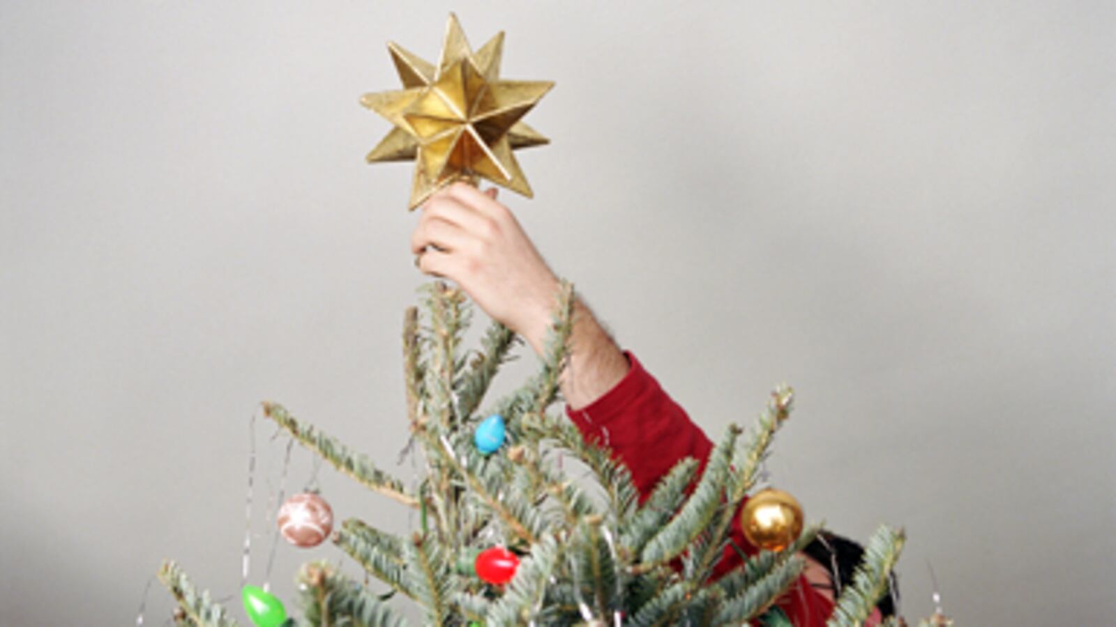 articles/2010/12/23/christmas-with-my-autistic-son/zucker-christmas-autism_149254_hxlwlk
