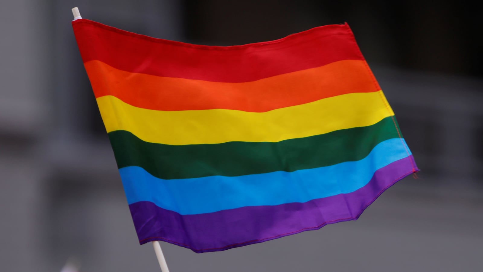 People wave rainbow flags.