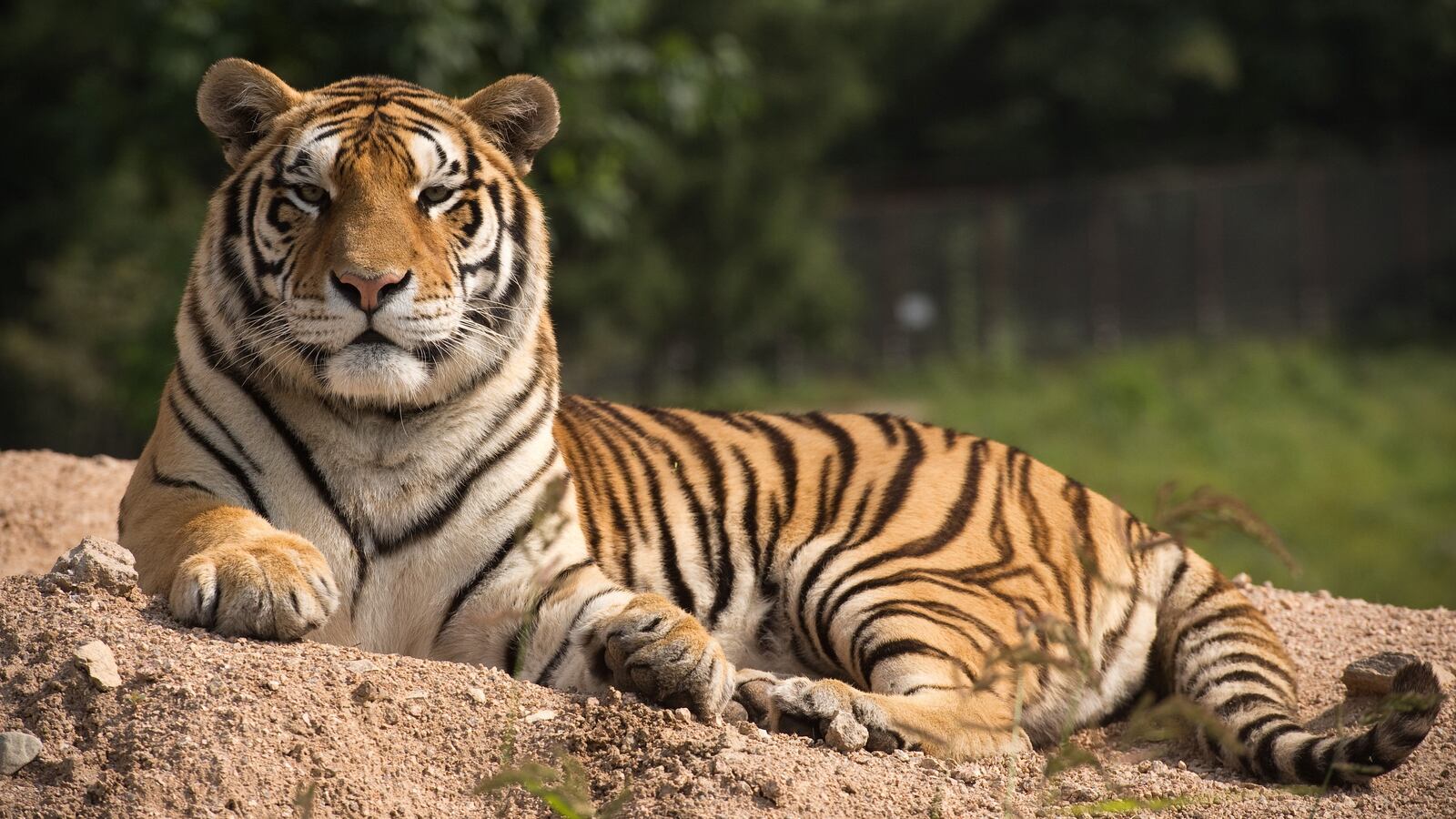 GettyImages-858073064_otgqzc