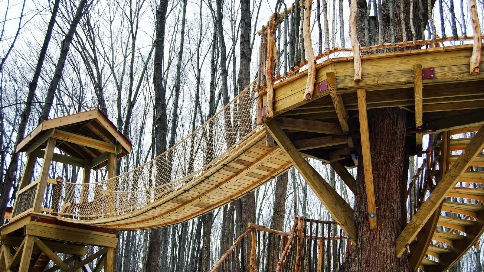 190530-withrow-treehouses-tease_is3ebq