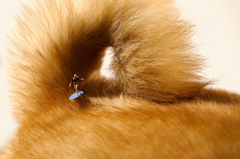 170715-small-wonders-6_q8nikn