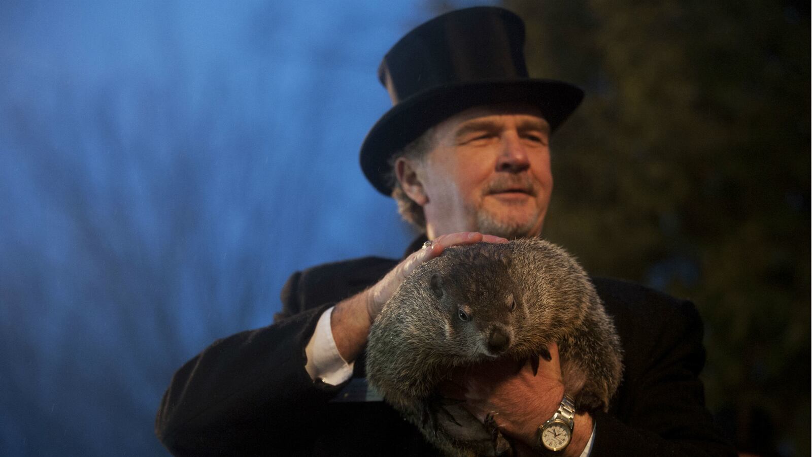 cheats/2015/02/02/punxsutawney-phil-saw-his-shadow/150202-groundhog-cheat_qg5ir7