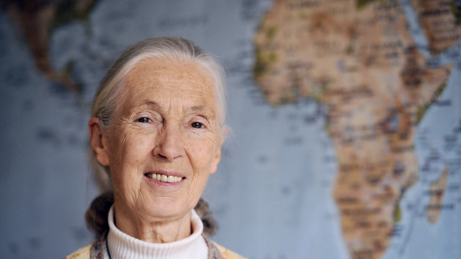 articles/2014/04/09/how-i-write-jane-goodall/140508-HIW-jane-goodall-tease_amevcu