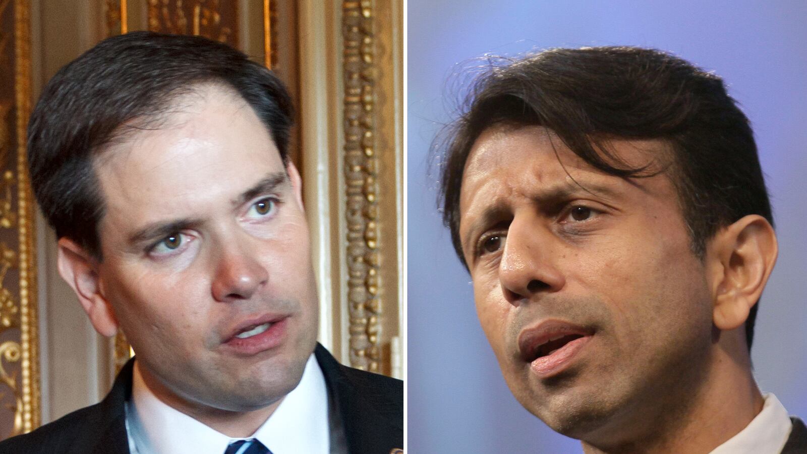 articles/2012/11/20/republican-politicians-must-stop-pandering-to-conservative-populism/gop-party-of-stupid-avlon-tease_bqk9j1