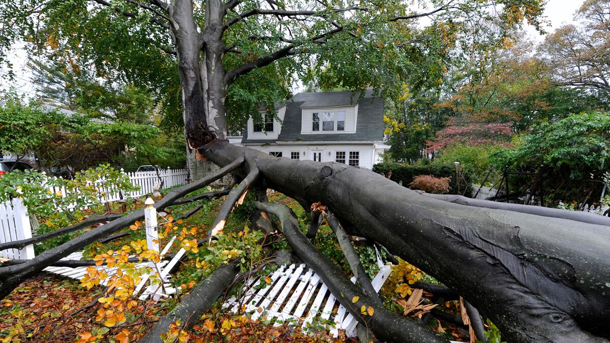 articles/2012/10/31/how-much-will-sandy-cost-ask-the-insurers/zeitlin-insurance-sandy_zsldan