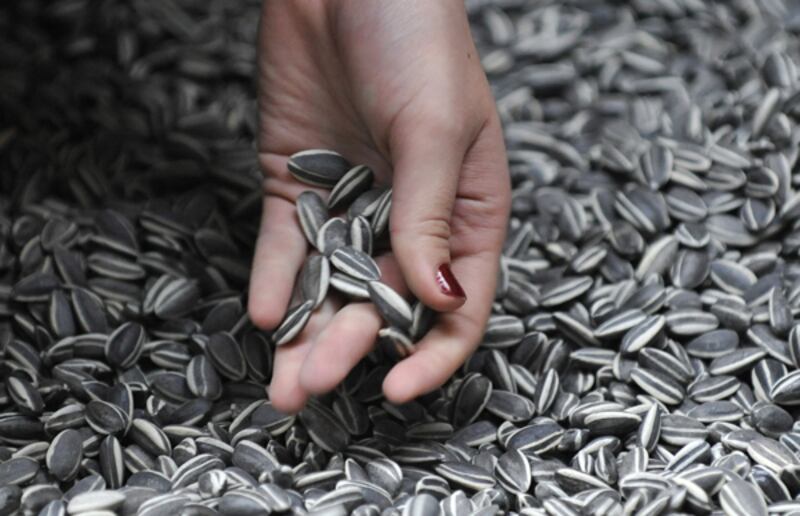 galleries/2011/06/22/chinese-artist-ai-weiwei-freed/ai-weiwei-released-prison-4_evpbws