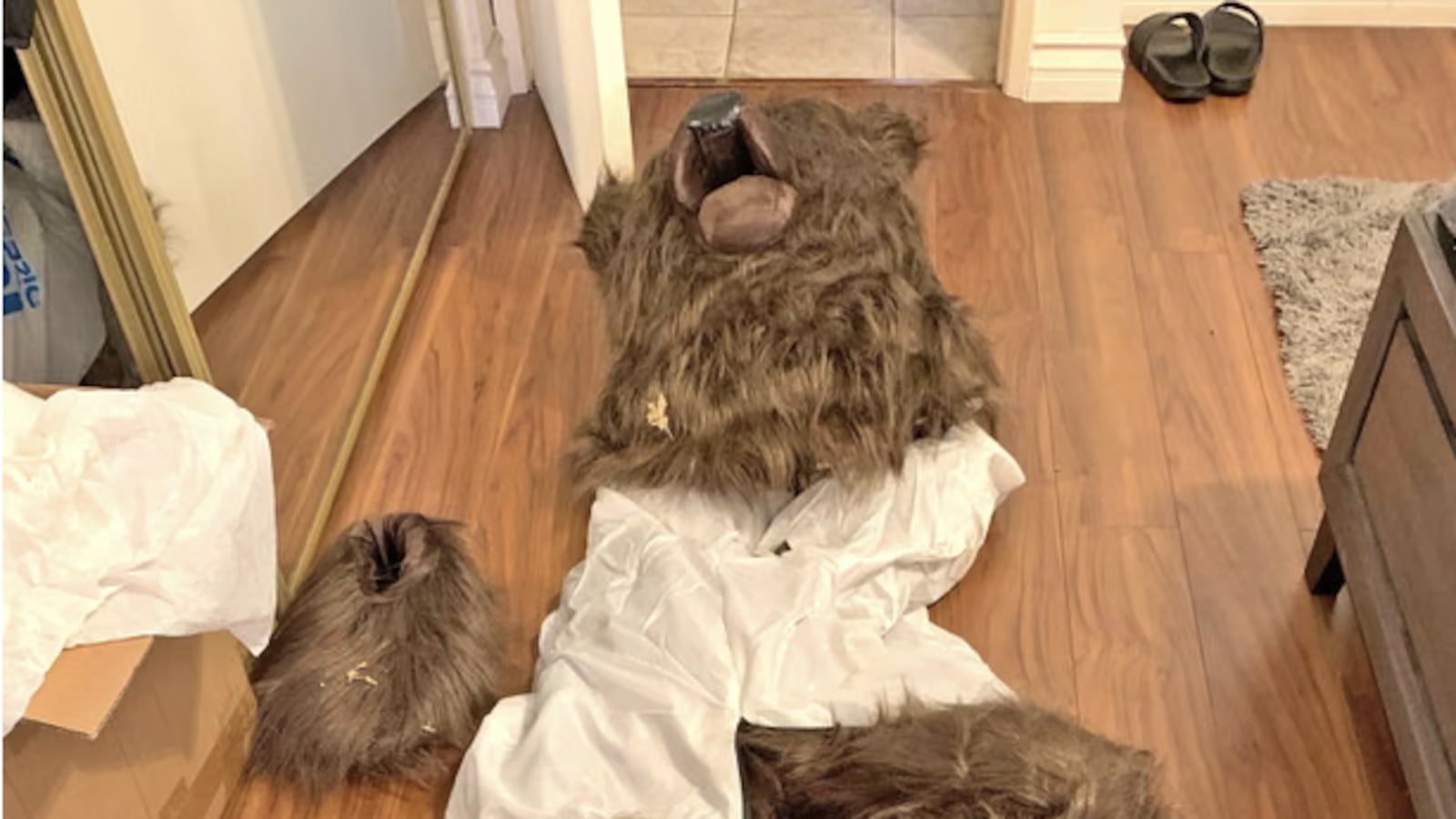 Bear Costume