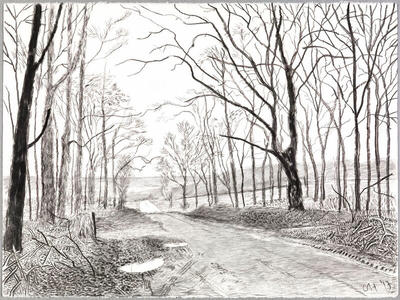 galleries/2013/10/26/david-hockney-a-bigger-exhibition-at-the-deyoung-museum-photos/131025-david-hockney-2_n4m8uj