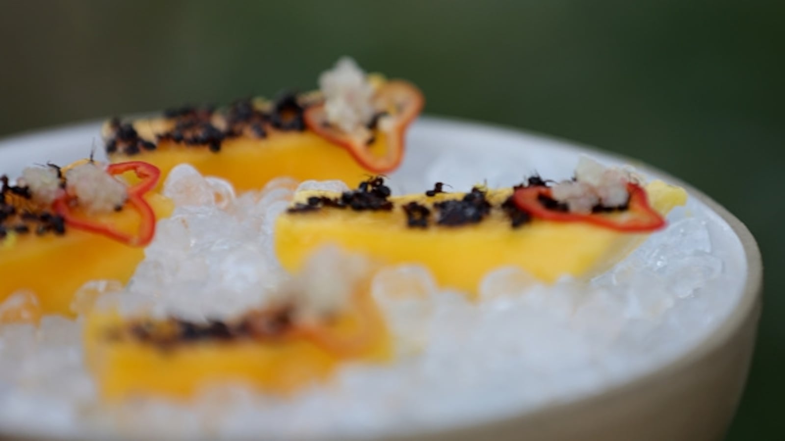 Bugs on food