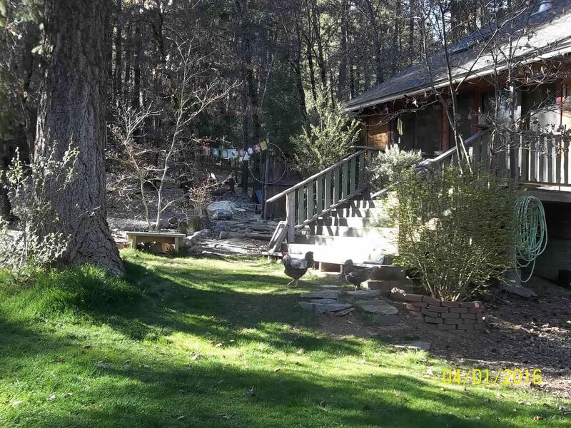 210727-briquelet-brothers-fire-embed-4_qyx1kh