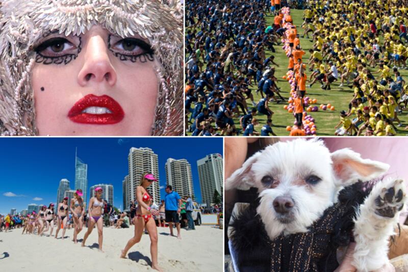 galleries/2011/11/30/world-records-broken-in-2011-photos/world-records-tease_a5ce5z