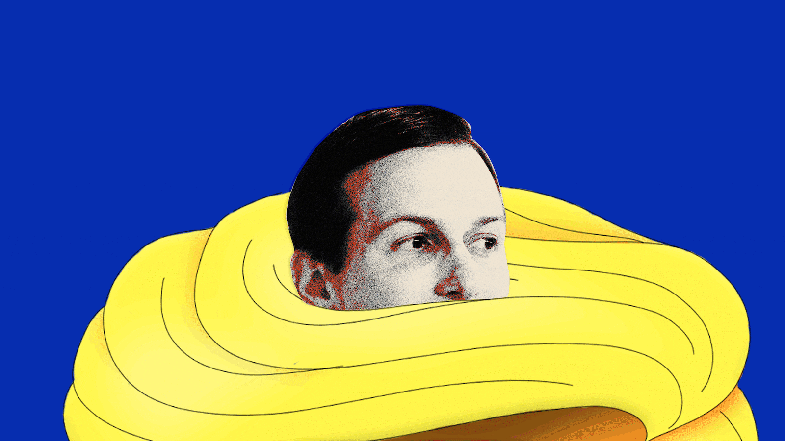 201223-swin-stein-jared-kushner-disappear-hero_upnka1