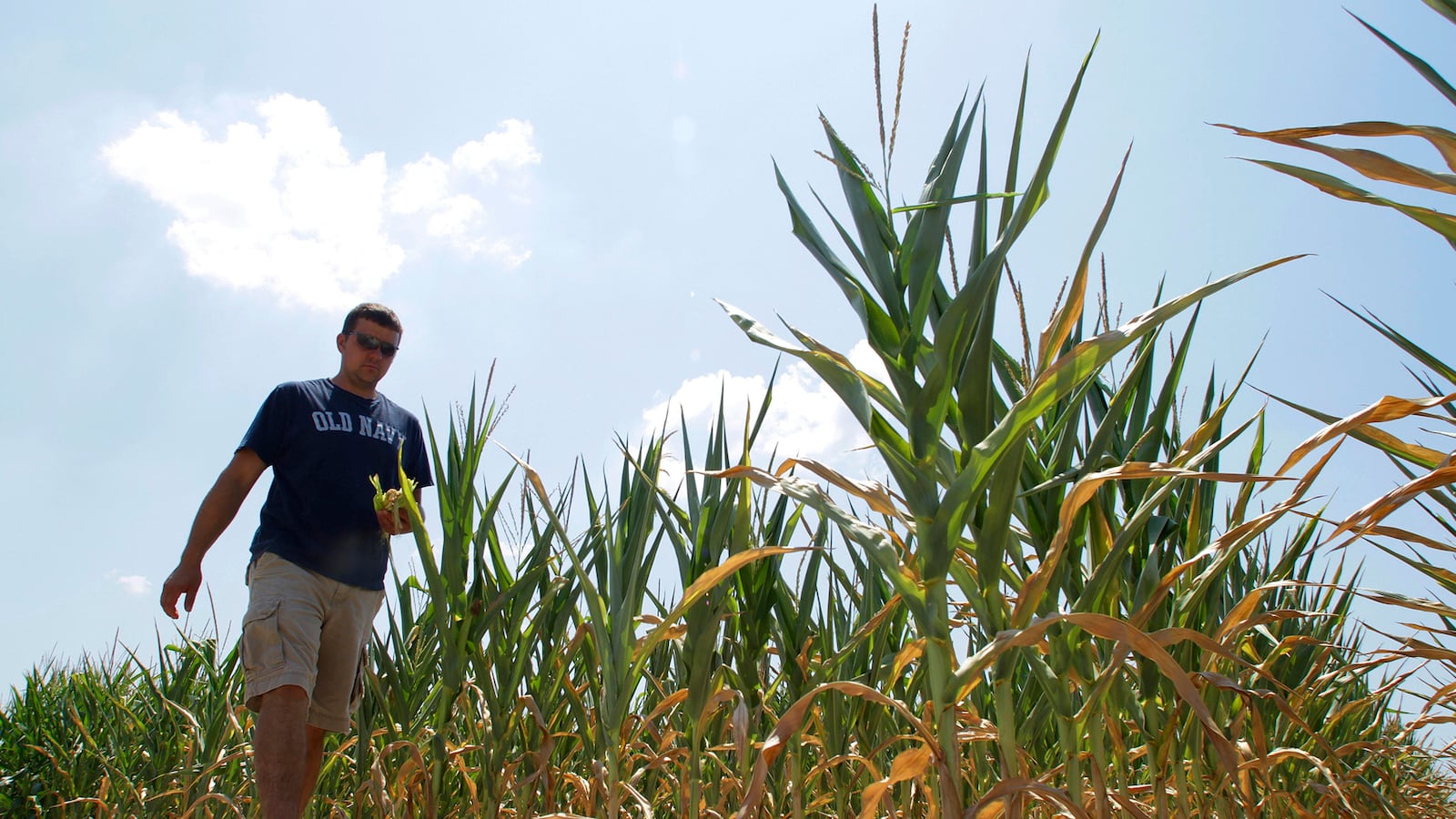 cheats/2012/07/13/midwest-farmers-plagued-by-drought/midwest-farmers-drought-cheat_syxszc