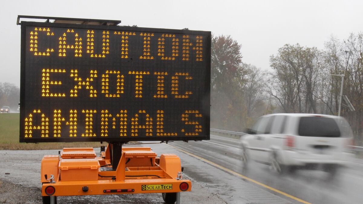 cheats/2011/10/19/bear-lion-monkey-loose-in-ohio/ohio-exotic-animals-3-on-loose_axo40m