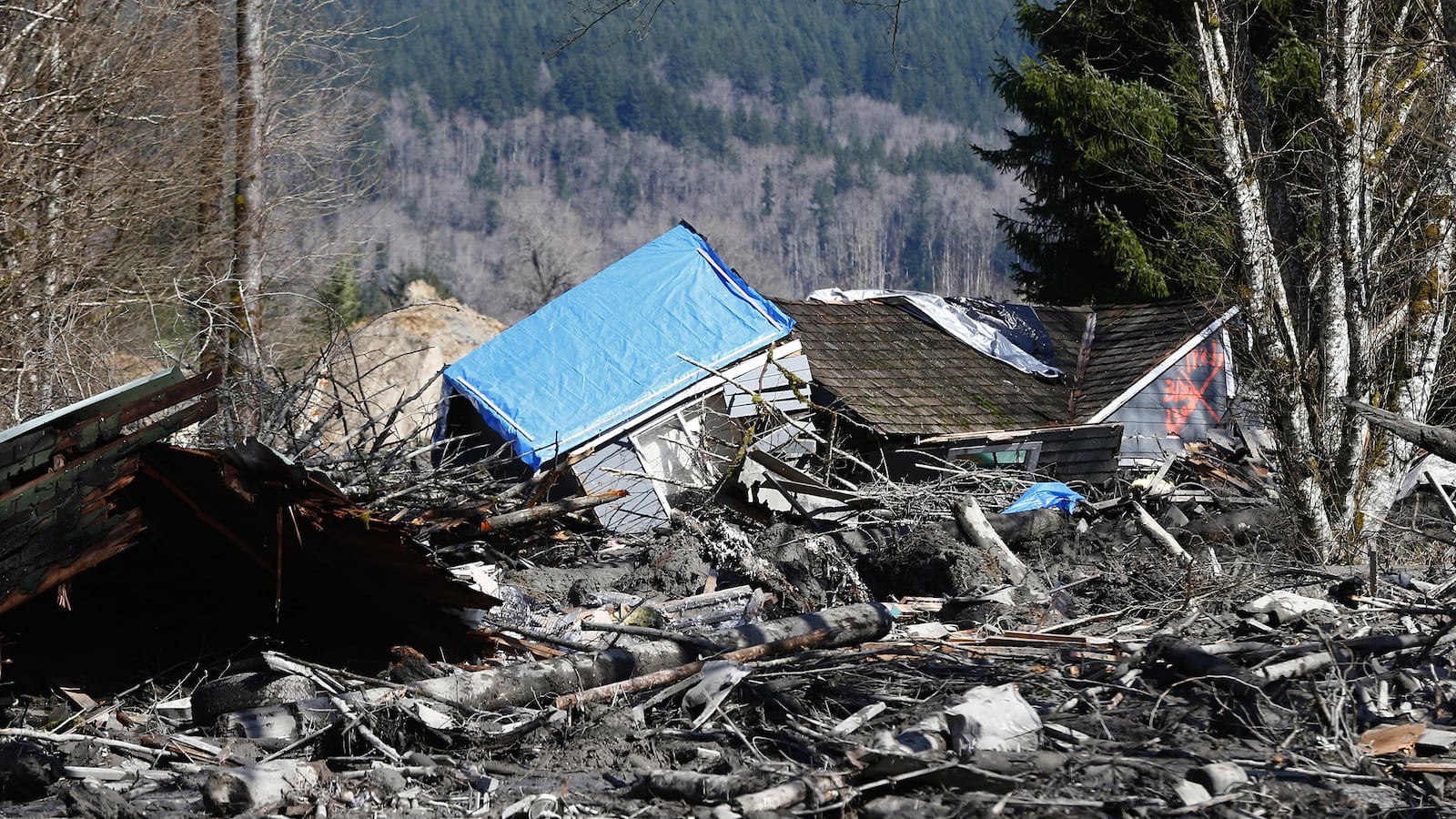 galleries/2014/03/25/without-warning-mudslide-covers-washington-town-photos/140325-wa-mudslide-1_qt2ups