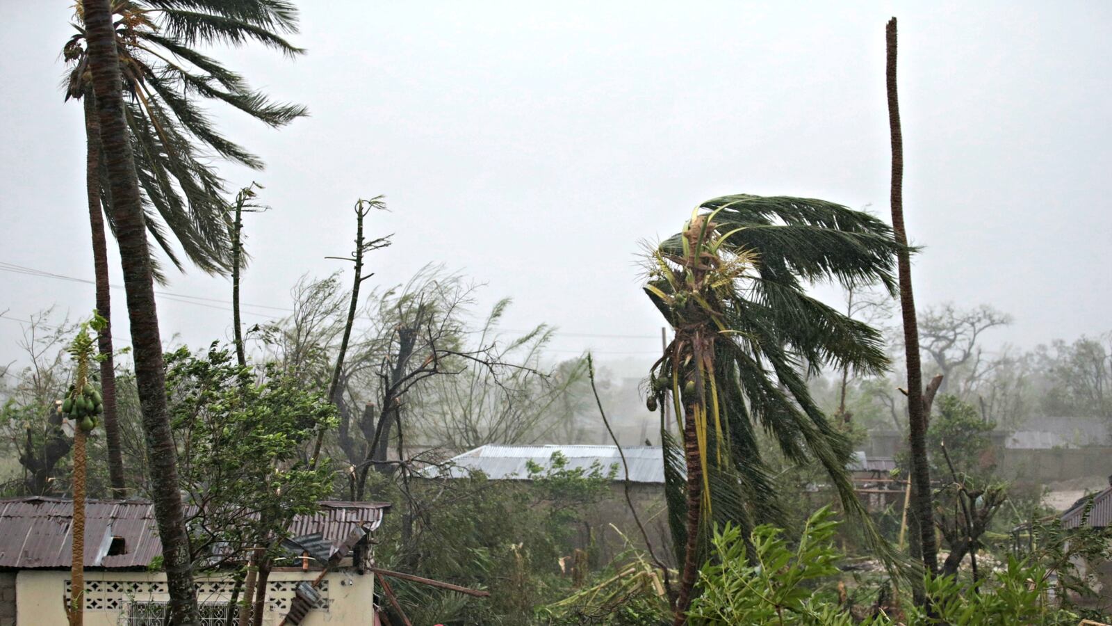 cheats/2016/10/04/state-of-emergency-declared-in-florida-georgia-south-carolina/161004-hurricane-matthew-cheat_ynt83k