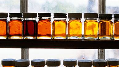 articles/2011/05/03/maple-syrup-in-the-northeast-maple-cookie-flapjack-and-cocktail-recipes/ross-syrup_177790_salana