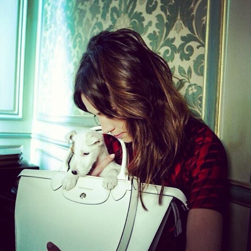 galleries/2014/06/22/the-11-best-fashion-instagrams/140620-fashion-instagrams-alexa-chung_xdkhul