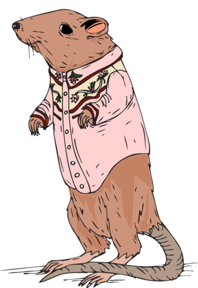 galleries/2013/01/10/wear-this-to-that-an-amazing-new-tumblr/rat-wear-this-to-that_agrjnd