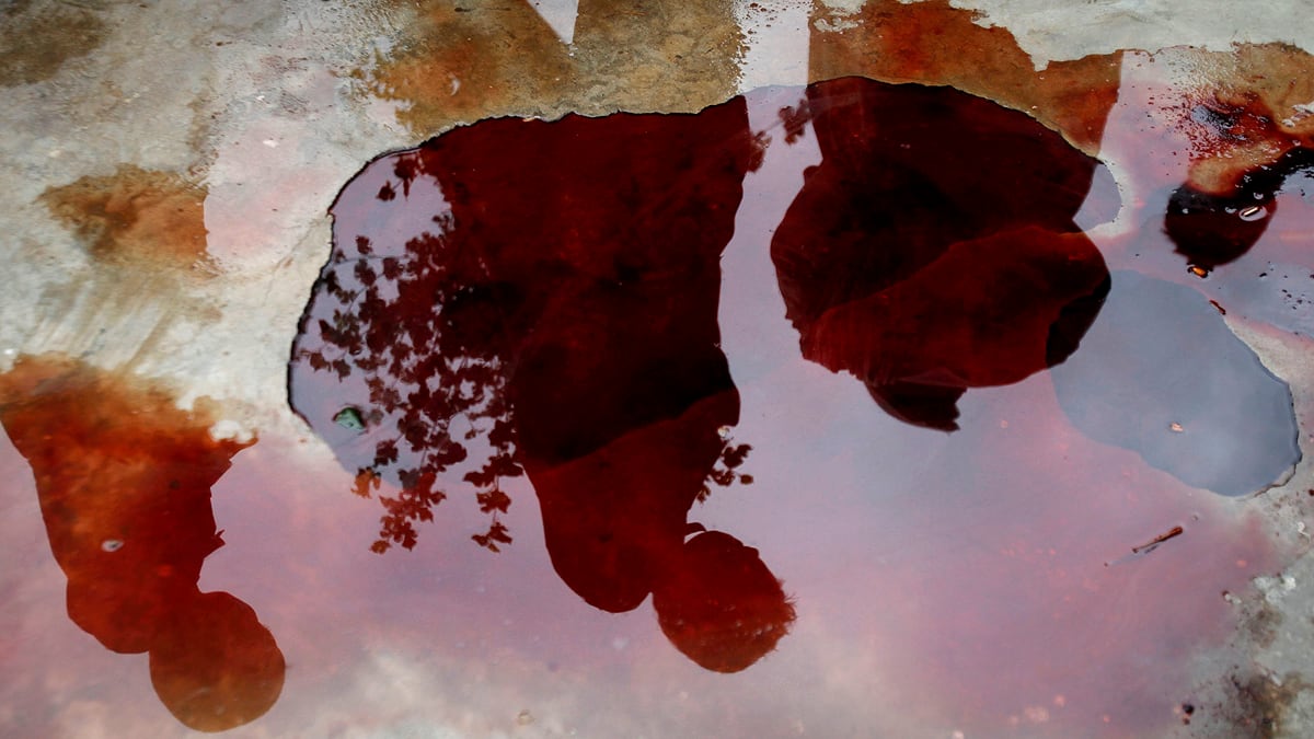 cheats/2011/09/03/nato-strike-kills-ex-gitmo-detainee/gitmo-sabar-lal-melma-killed-cheat_jd2sce