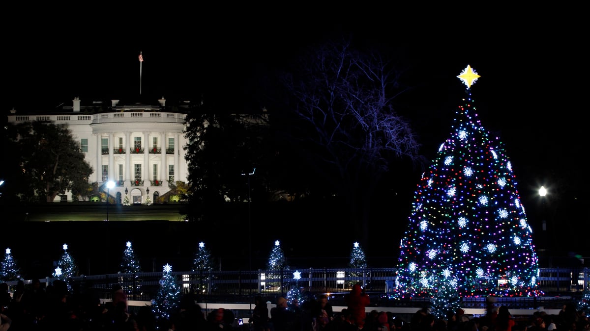 cheats/2012/05/06/national-christmas-tree-dies/white-house-christmas-tree-dead-cheat_qnlf8s