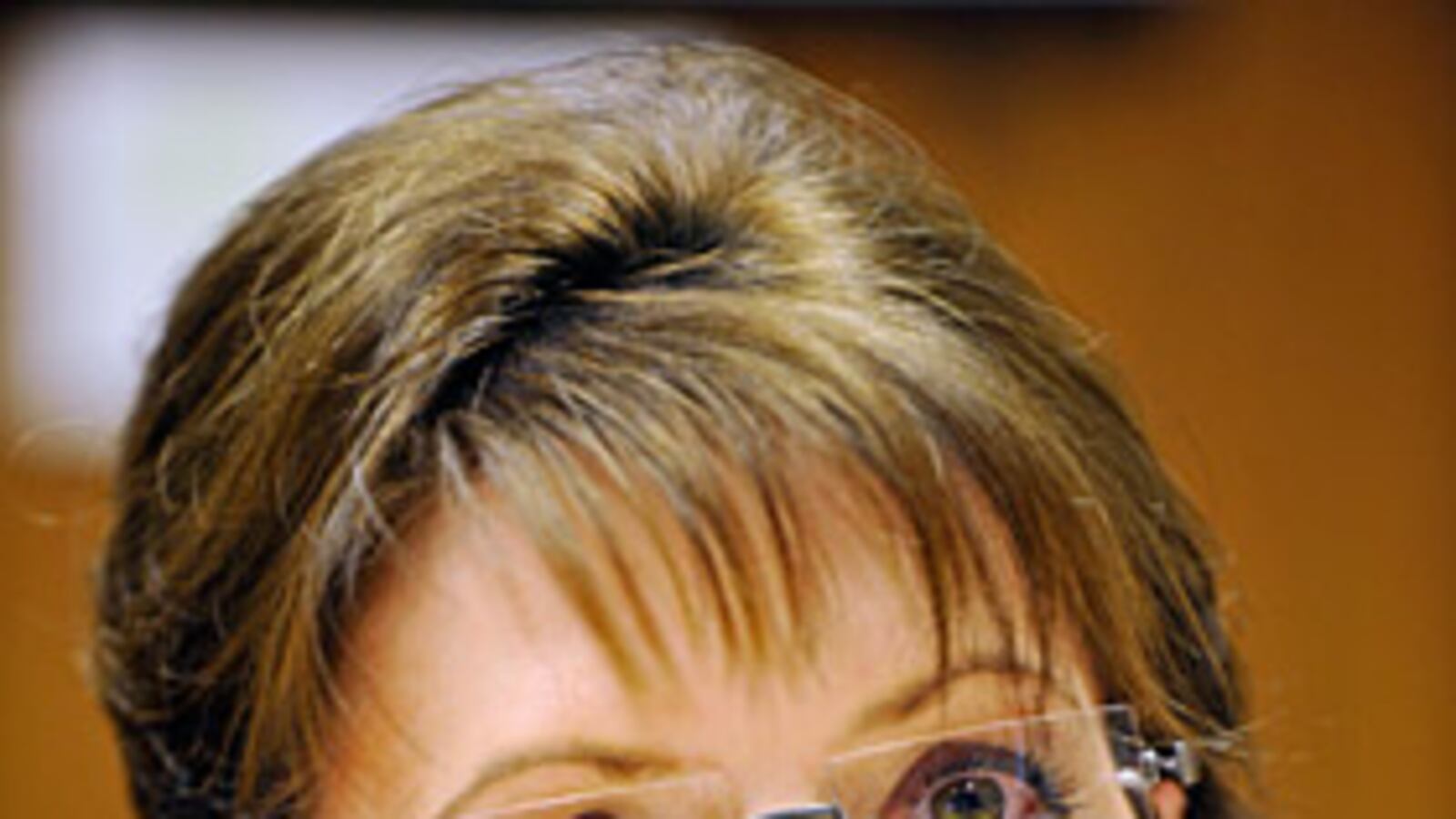 cheats/2009/02/22/palin-does-damage-control/sarah-palin-damage-control_jg2n9n