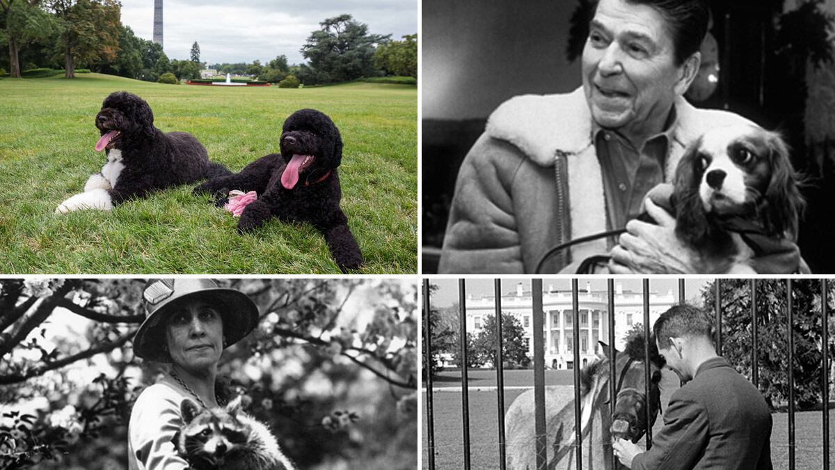 galleries/2009/04/12/presidential-pets/presidential-pets-tease_x0suer