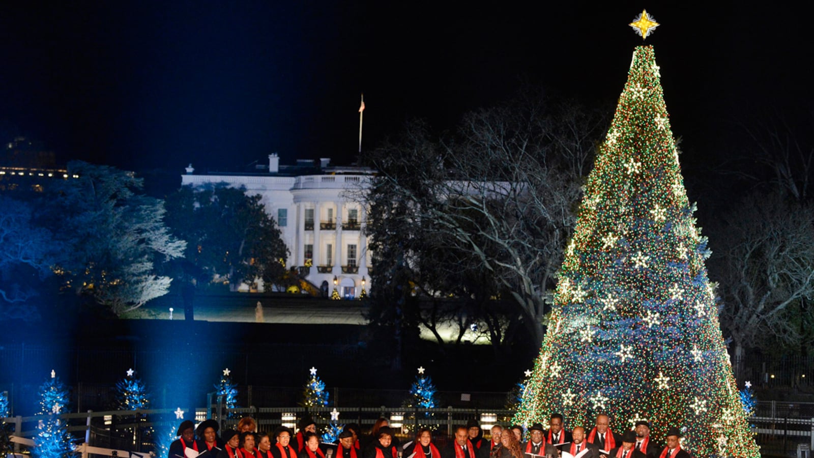 cheats/2012/12/06/national-christmas-tree-lit/holiday-tree-cheat_fougkv