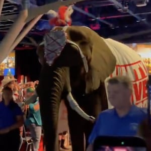 An elephant walks through a crowd
