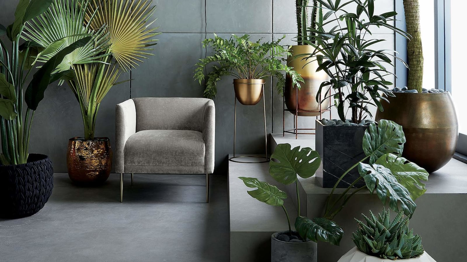 022819_home_botanicals_re_mmm2ea