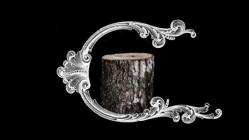 220816-greenwashing-deforestation-embed-3_khu5oo