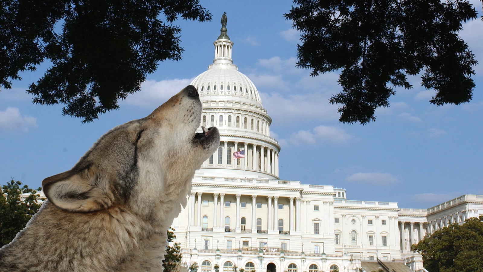 articles/2013/10/11/crying-wolf-on-capitol-hill/131010-mclean-crying-wolf-tease_bffv3m