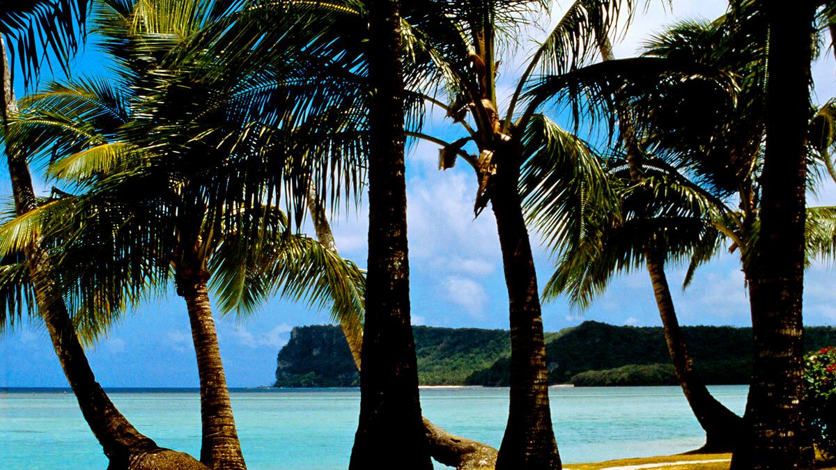 articles/2012/03/10/guam-and-saipan-make-tempting-targets-for-delegate-hungry-gop-candidates/guam-palms-politics_ruulhn