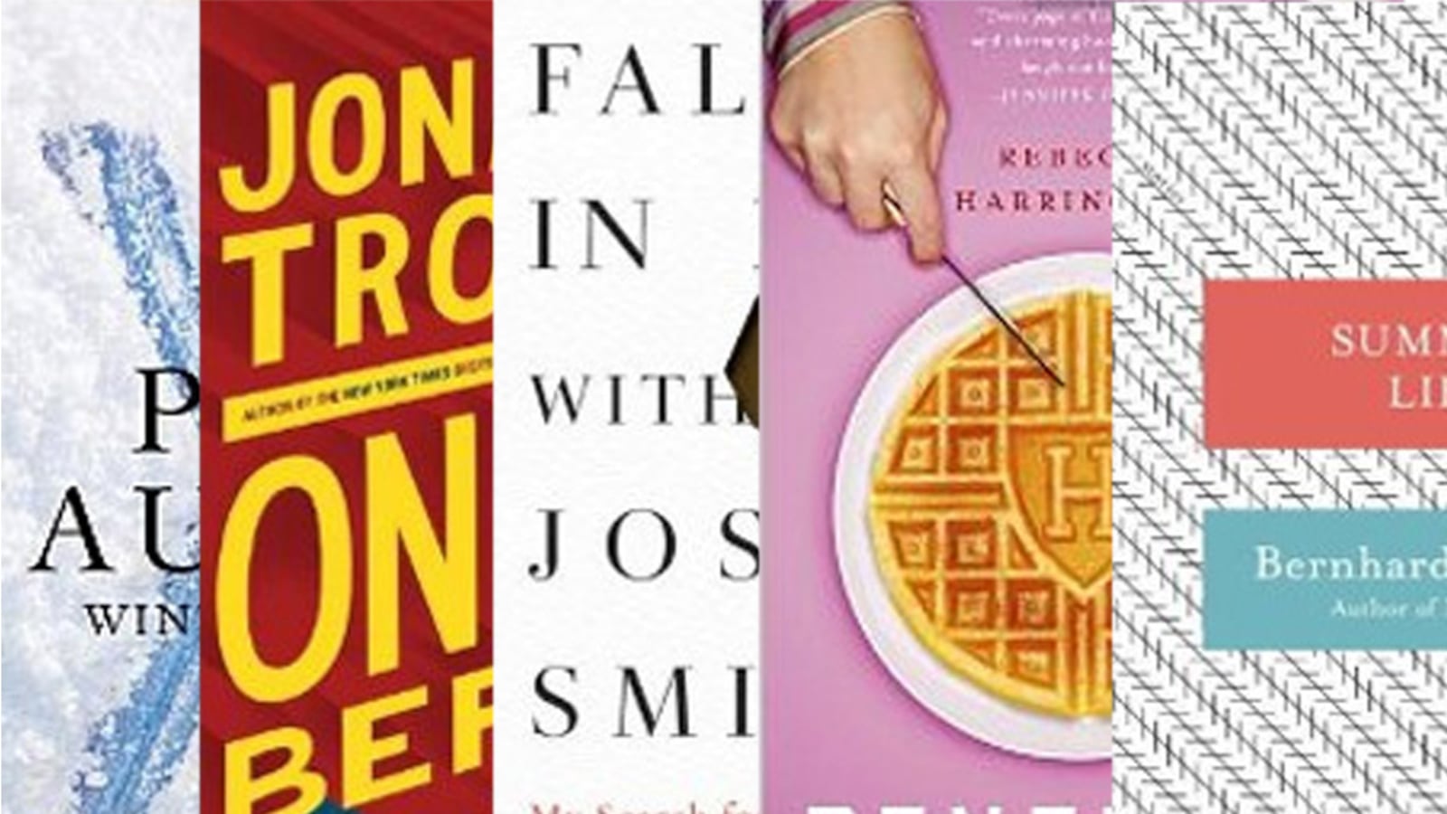 articles/2012/08/12/paul-auster-bernard-schlink-and-more-of-this-week-s-hot-reads-august-13-2012/120812-HOTREADS-tease_mxlmfs