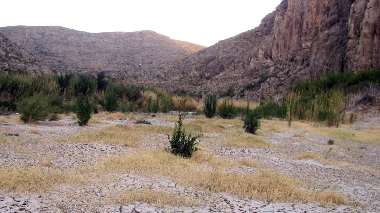 cheats/2011/06/29/texas-declared-a-natural-disaster/texas-drought-cheat_m5raxr