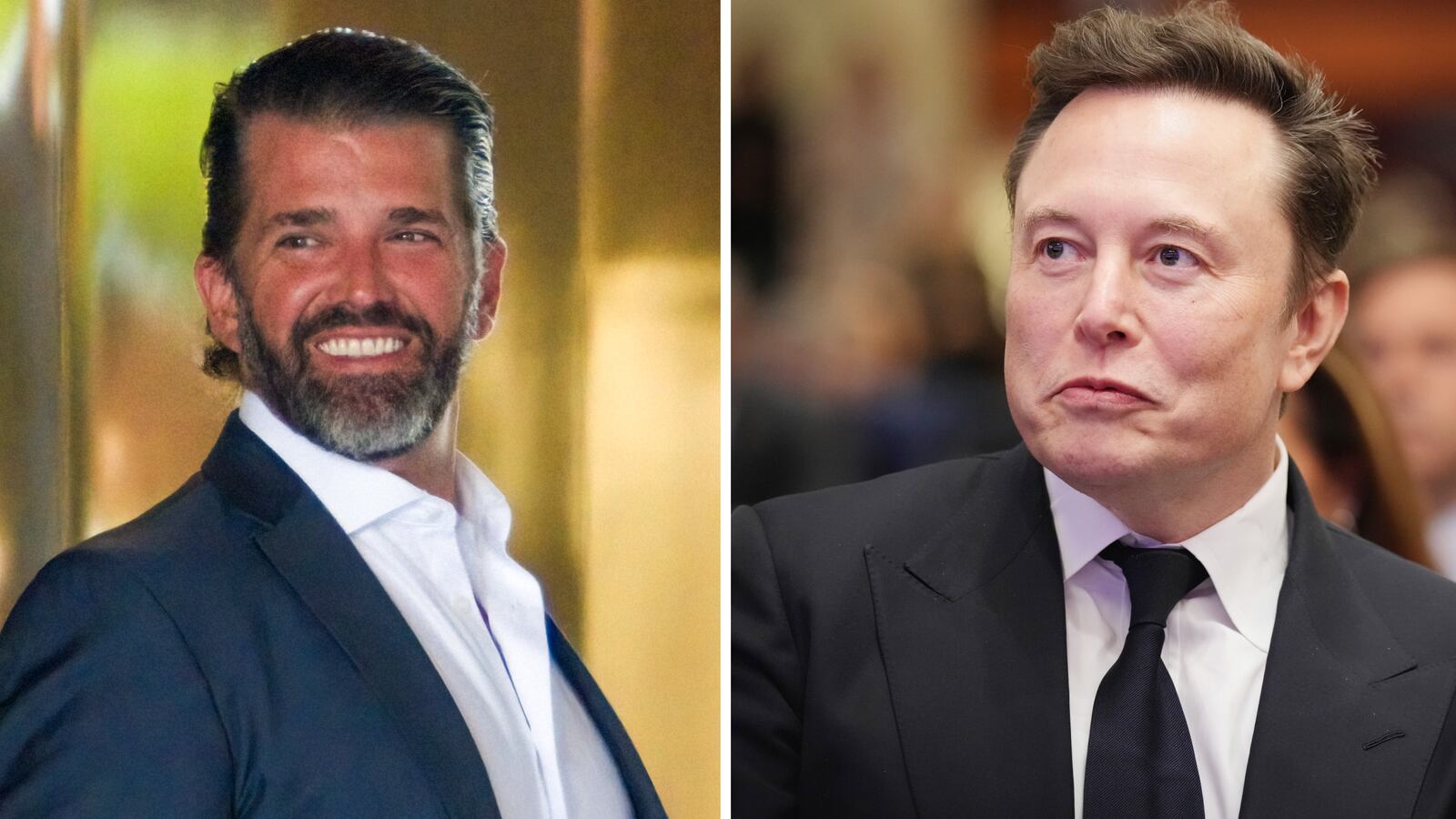 Donald Trump Jr. and Elon Musk.