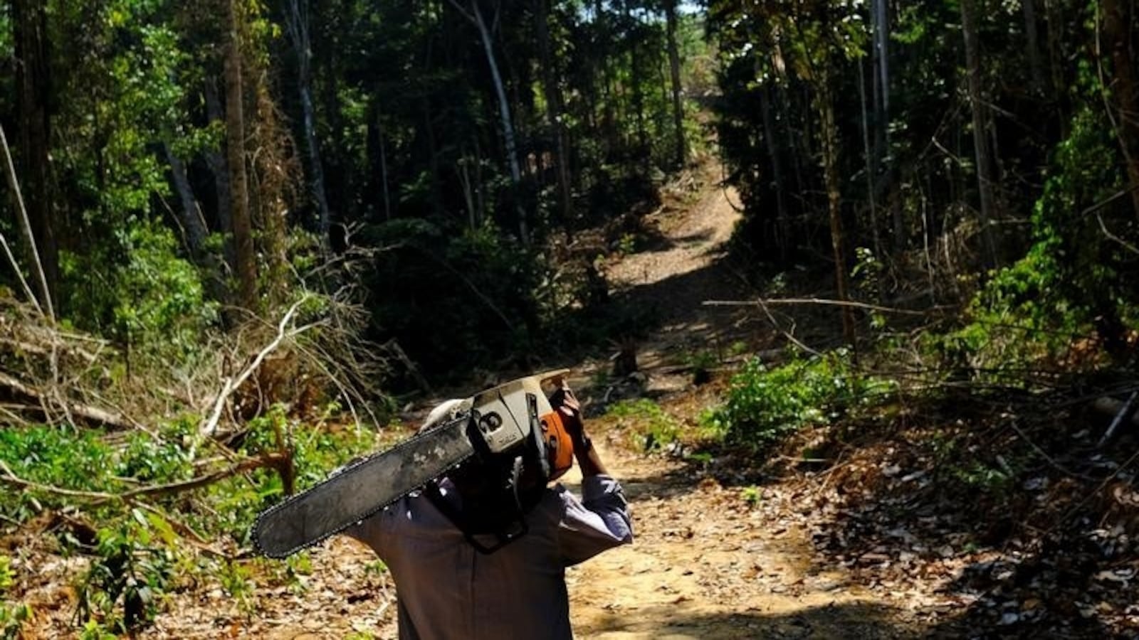 2019-01-04T102953Z_1_LYNXNPEF030I9_RTROPTP_3_BRAZIL-AMAZON-DEFORESTATION_sjm5jv